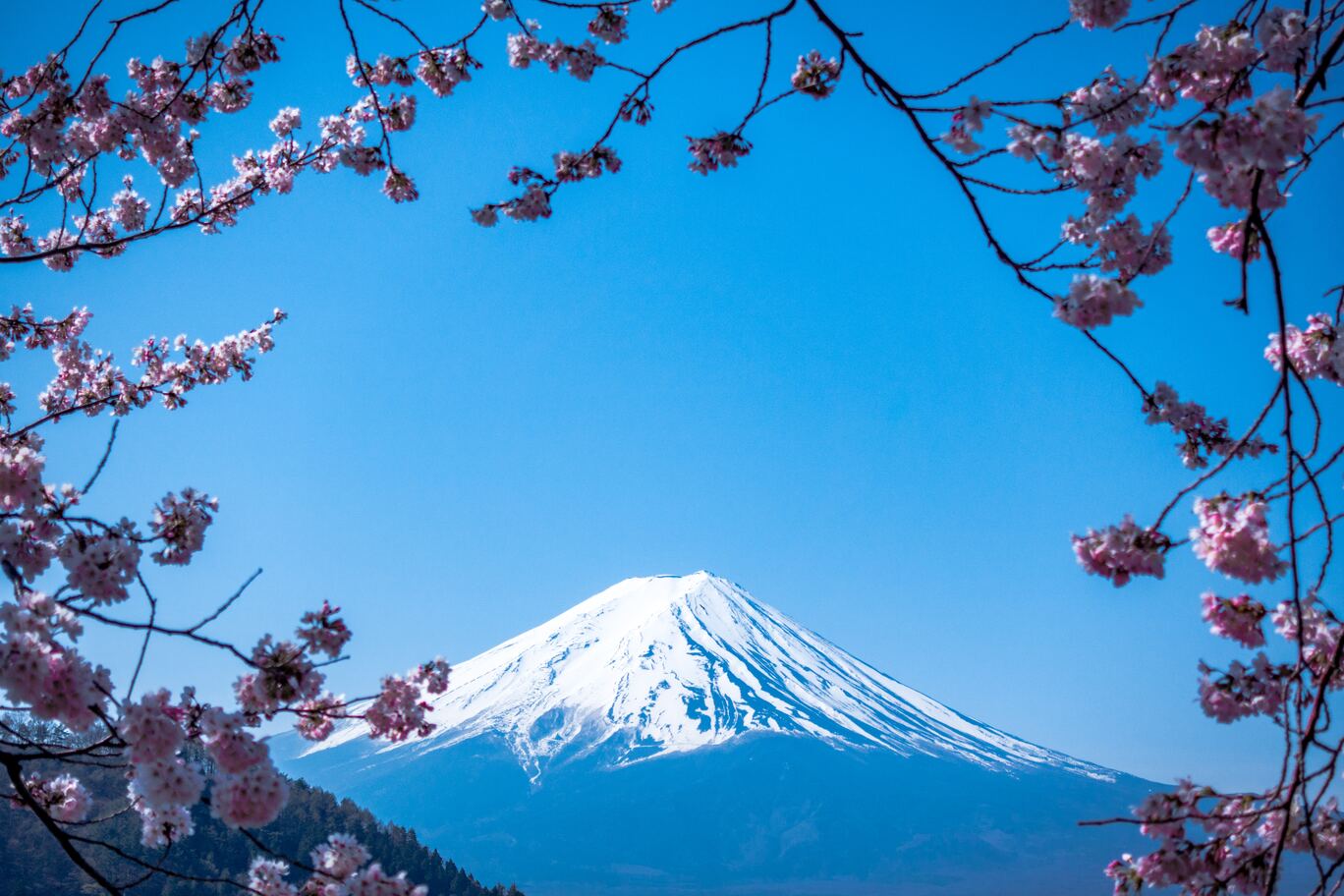 jj-ying-9Qwbfa_RM94-unsplash (1)